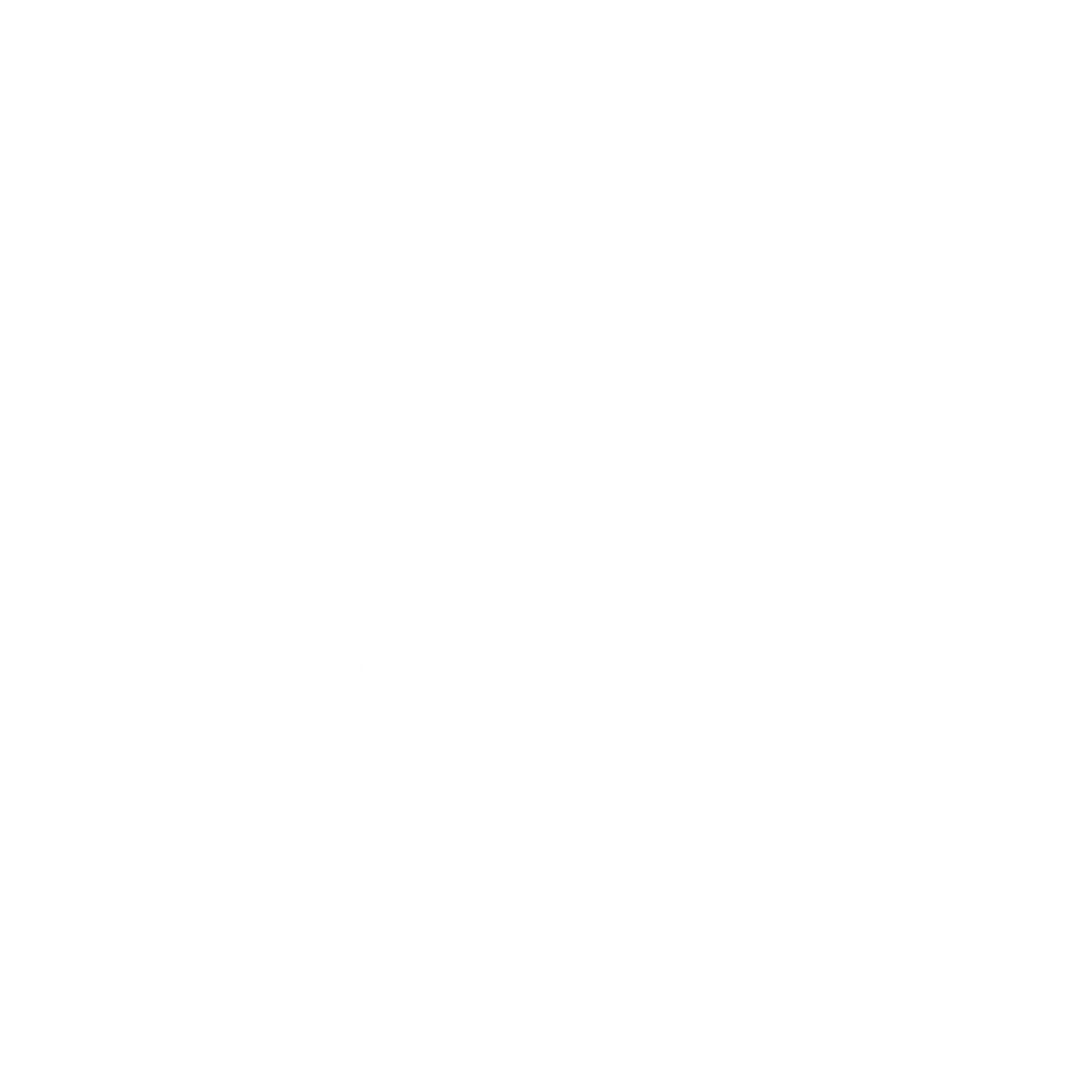 parceiros institucionais