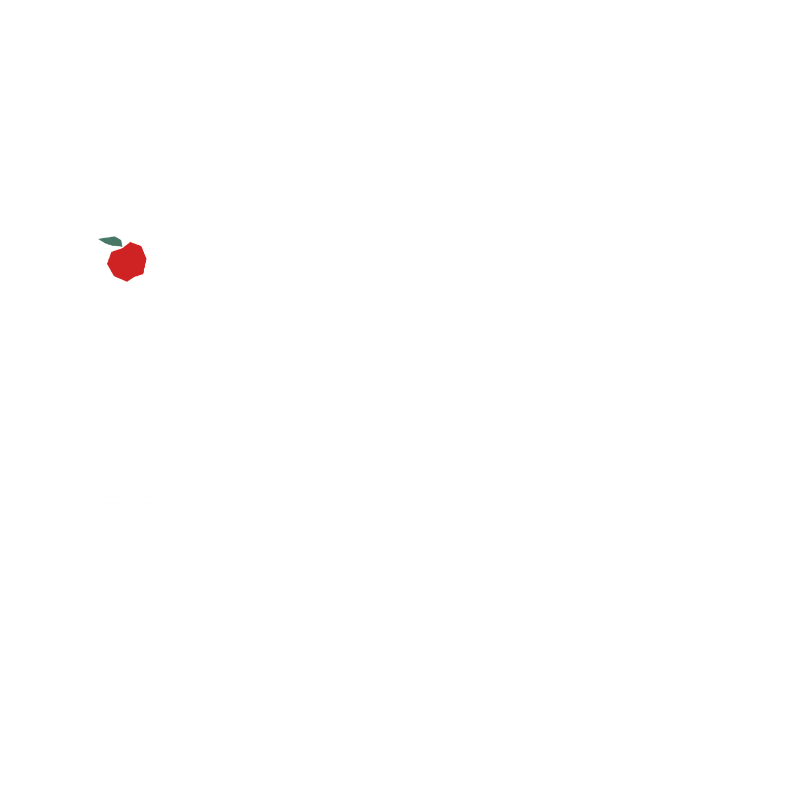 parceiros institucionais