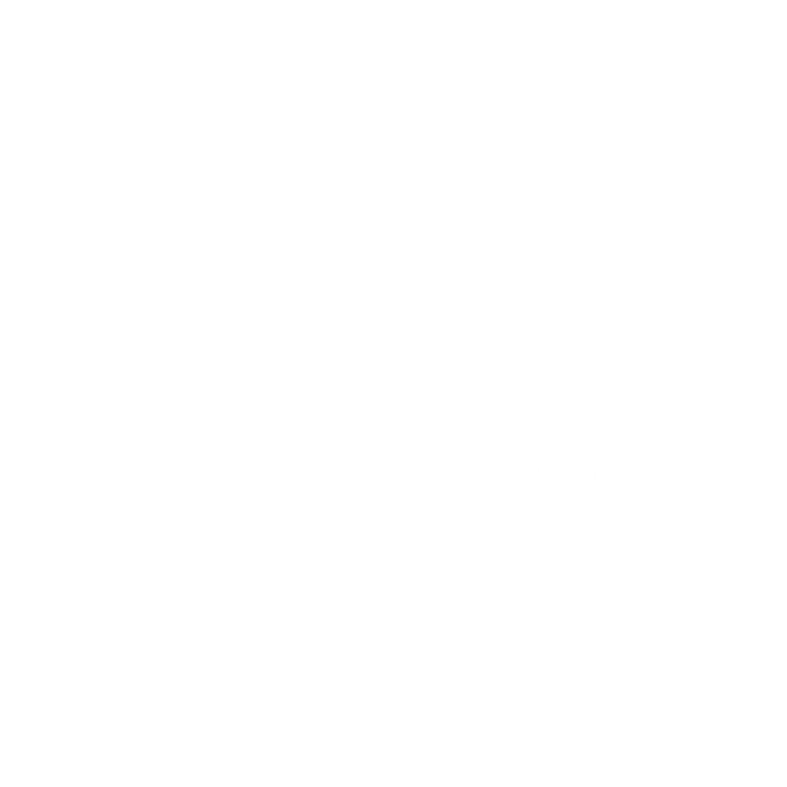 parceiros institucionais