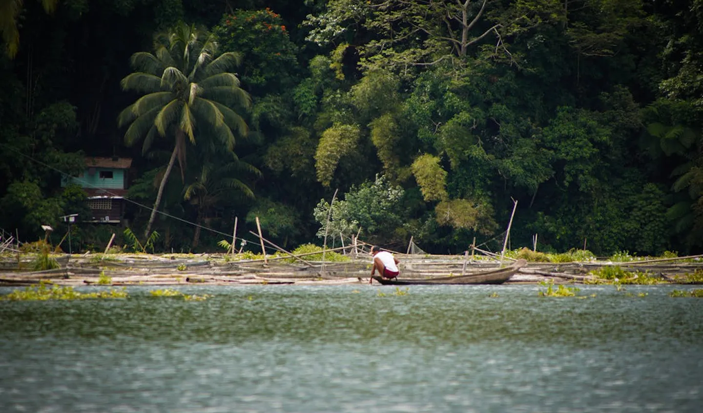 Título do Documentário 2